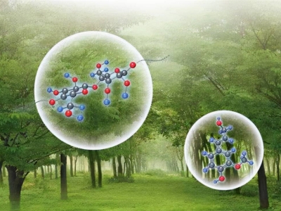 秸稈生物基環(huán)保材料是什么，有哪些特點